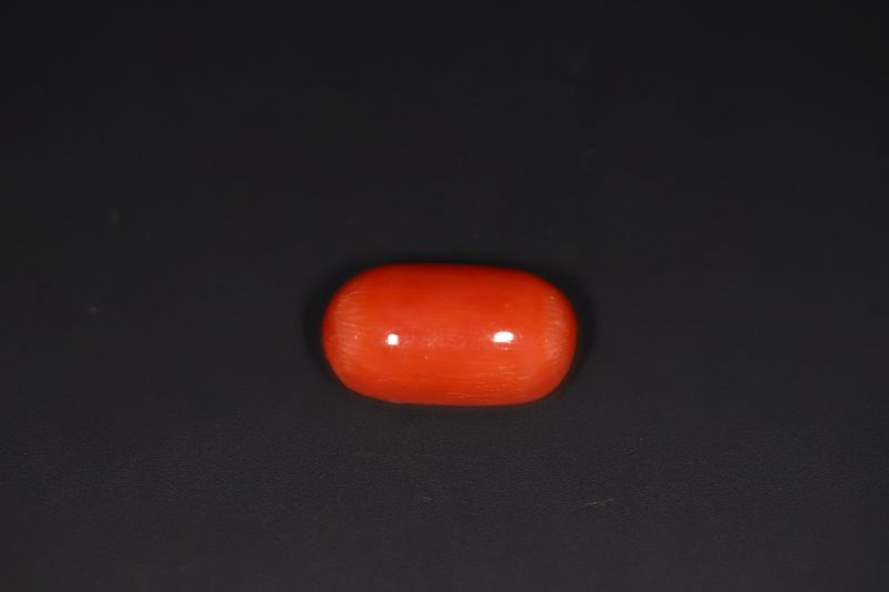 Natural Red Coral ( Munga)-13.615 Carat Weight Origin Italy-A22122