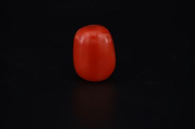 Natural Red Coral ( Munga)-16.525 Carat Weight Origin Italy-A22123