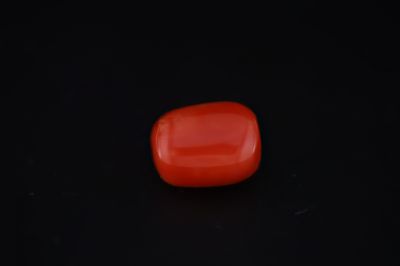 Natural Red Coral ( Munga)-16.525 Carat Weight Origin Italy-A22123