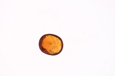 A22127_Stone Hessonite Garnet (Gomed) _ 6 Carat Weight Origin Sri Lanka